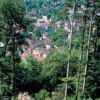 Vortrag: Biodiversität im Urner Wald am 26. September